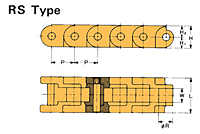 RS Plastic Standard Pitch Chain Type